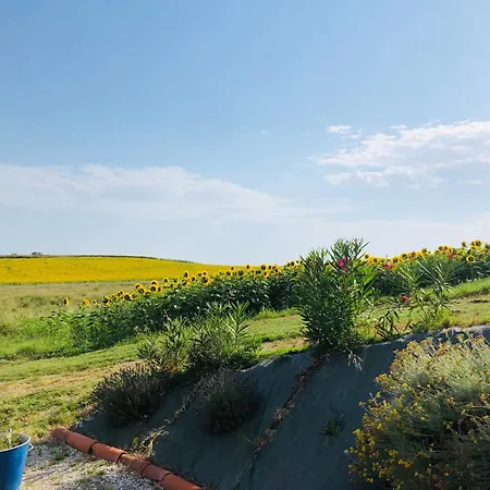 Les D'en Julio Puylaurens