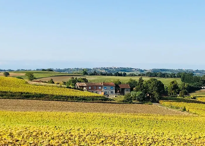 Vakantiehuis Les D'en Julio Puylaurens