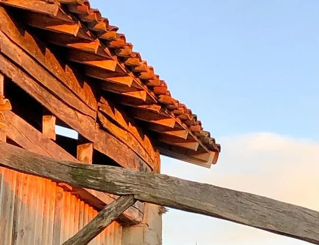 Vakantiehuis Les D'en Julio