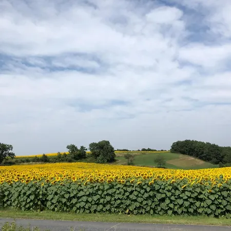 Les D'en Julio