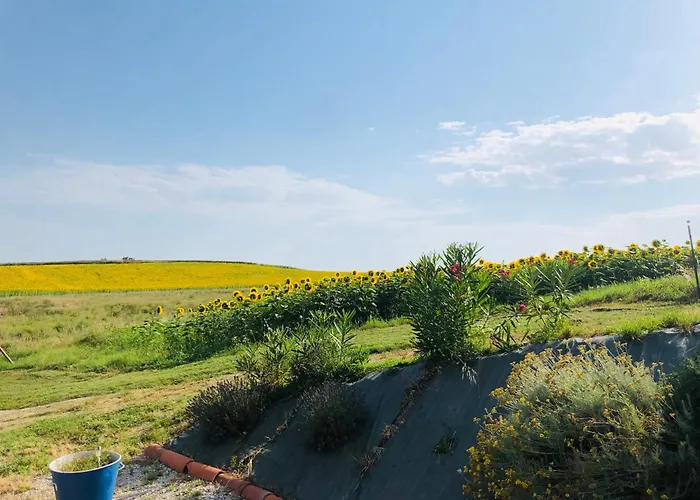 Les D'en Julio Puylaurens